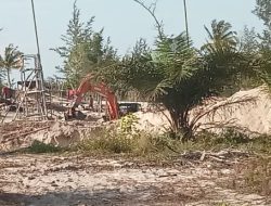 Hutan Bakau dan Bibir Pantai Rambat, Diduga Dikuasai Dan Dijarah Para Penambang Ilegal